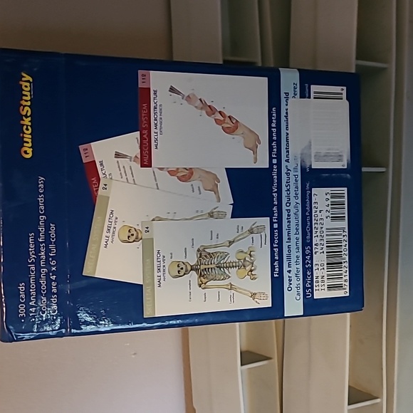 Anatomy Flashcards - Picture 3 of 3